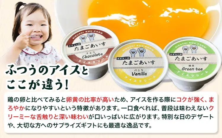 エミューのたまごアイス 6個入り エミュー観光牧場 《30日以内に出荷予定(土日祝除く)》 熊本県 菊池市 卵 たまご エミュー 食用卵 アイス デザート 国産 熊本県産 産地直送 送料無料