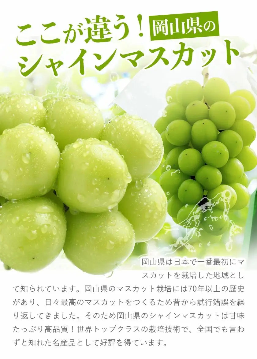【全2回】晴れの国定期便 桃1.3kg マスカット2kg 定期便