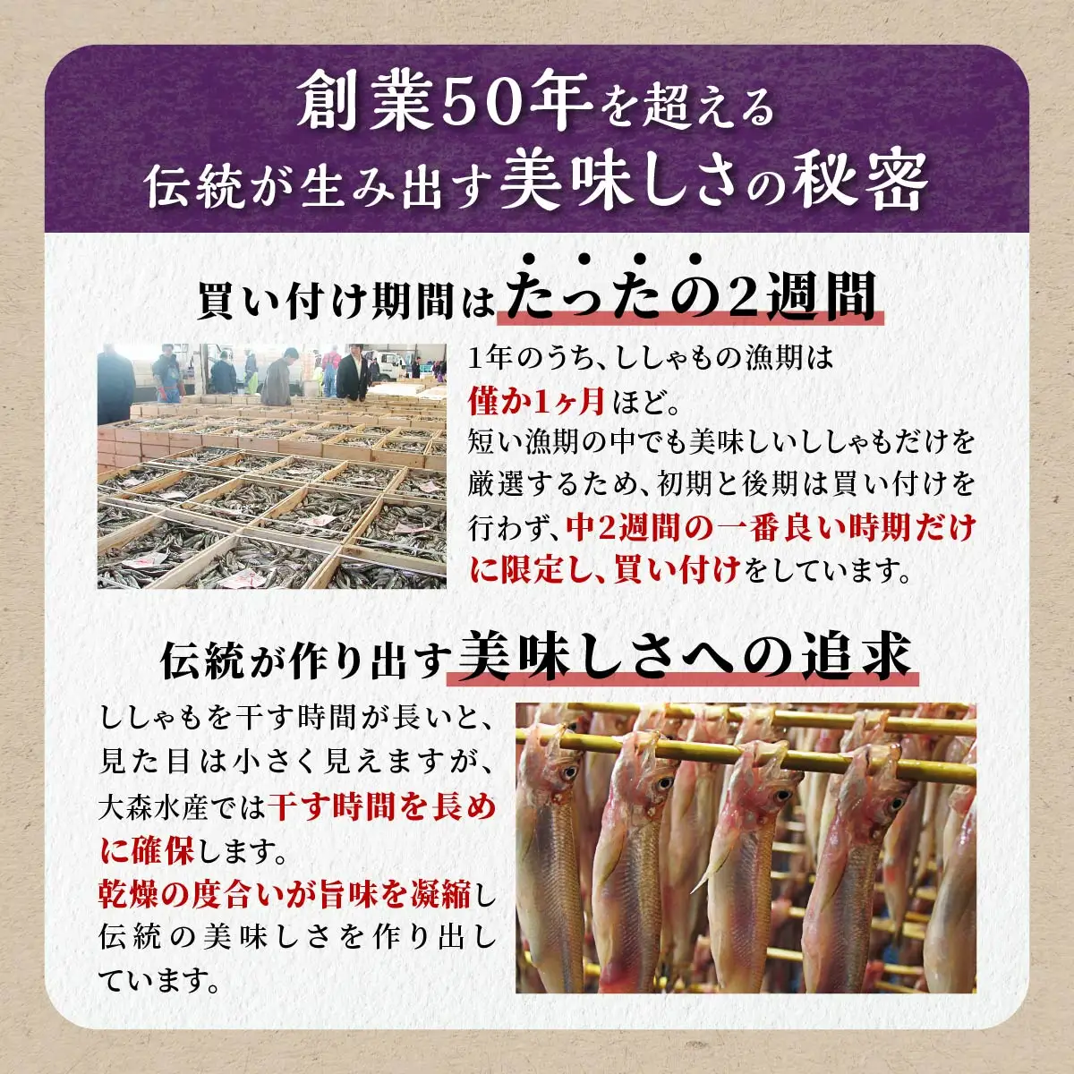 【訳あり】しらぬか産 本ししゃも 【数量限定】【中オス10尾・中メス20尾】_A015-1163