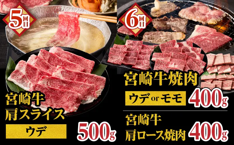 宮崎牛よくばり定期便全6回 ステーキ 焼肉 スライス