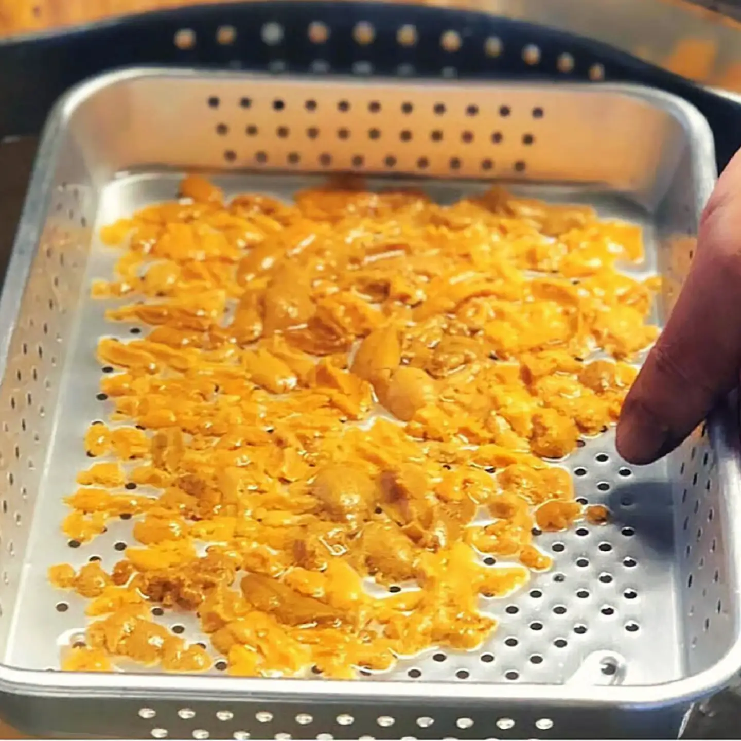 生ウニ 60g （冷蔵） [JFZ012] ミョウバン不使用 無添加うに