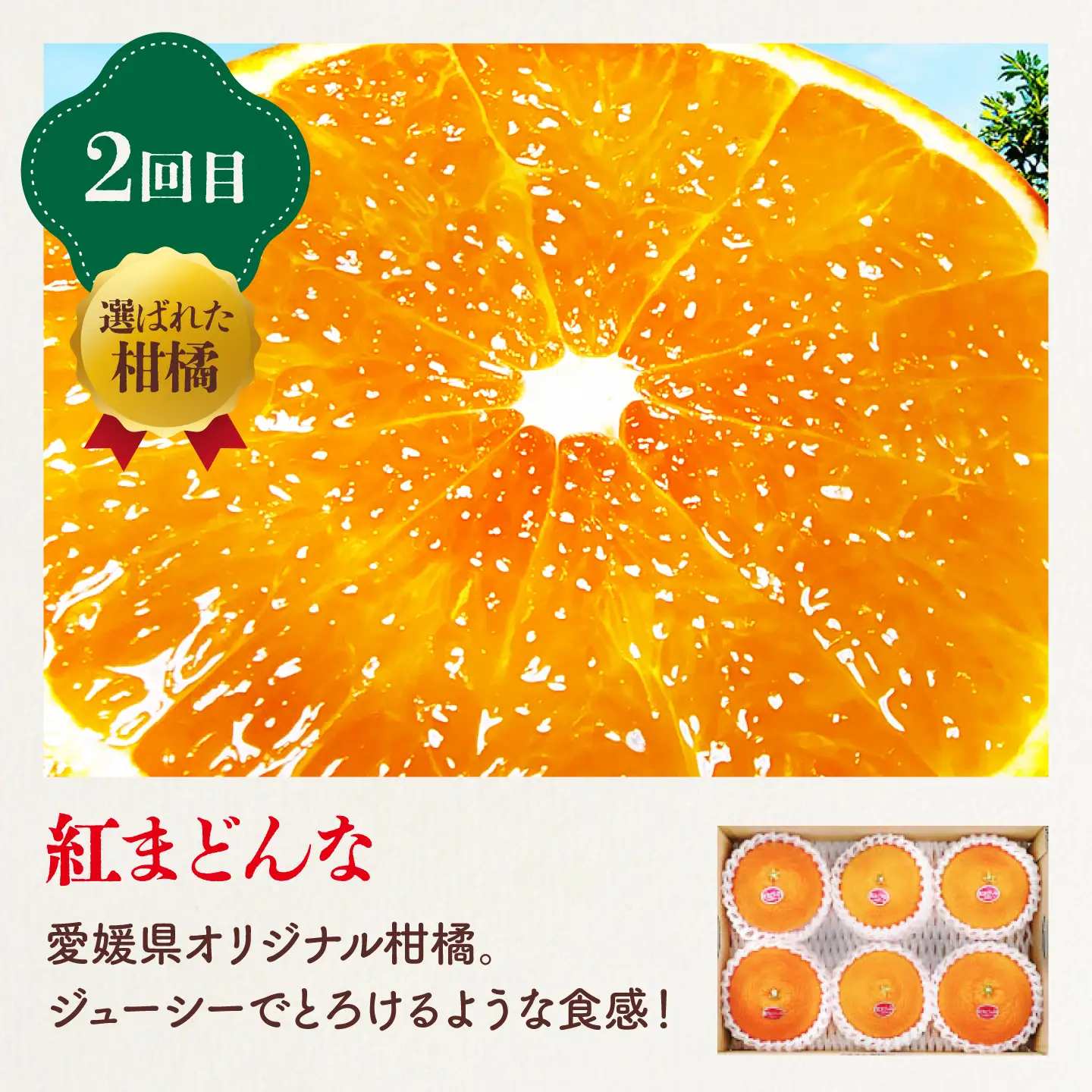 紅まどんな 果物定期便【全3回】紅まどんな スイカ せとか  [AGBA025]