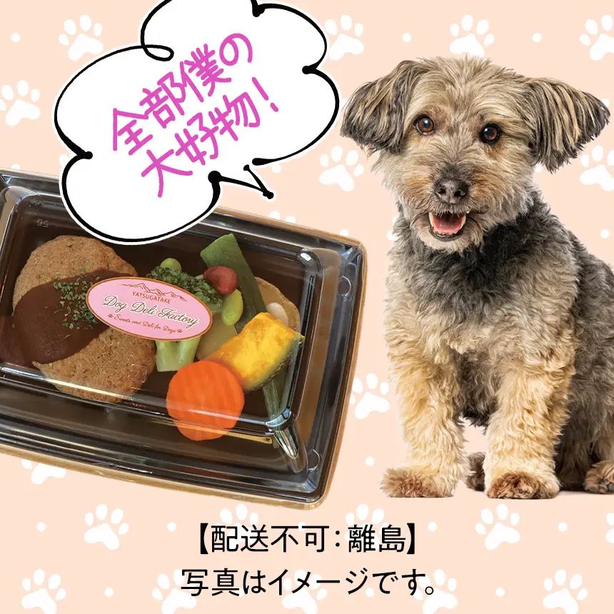八ヶ岳 高原 からの 贈り物 ディナー セット ( 犬用 )