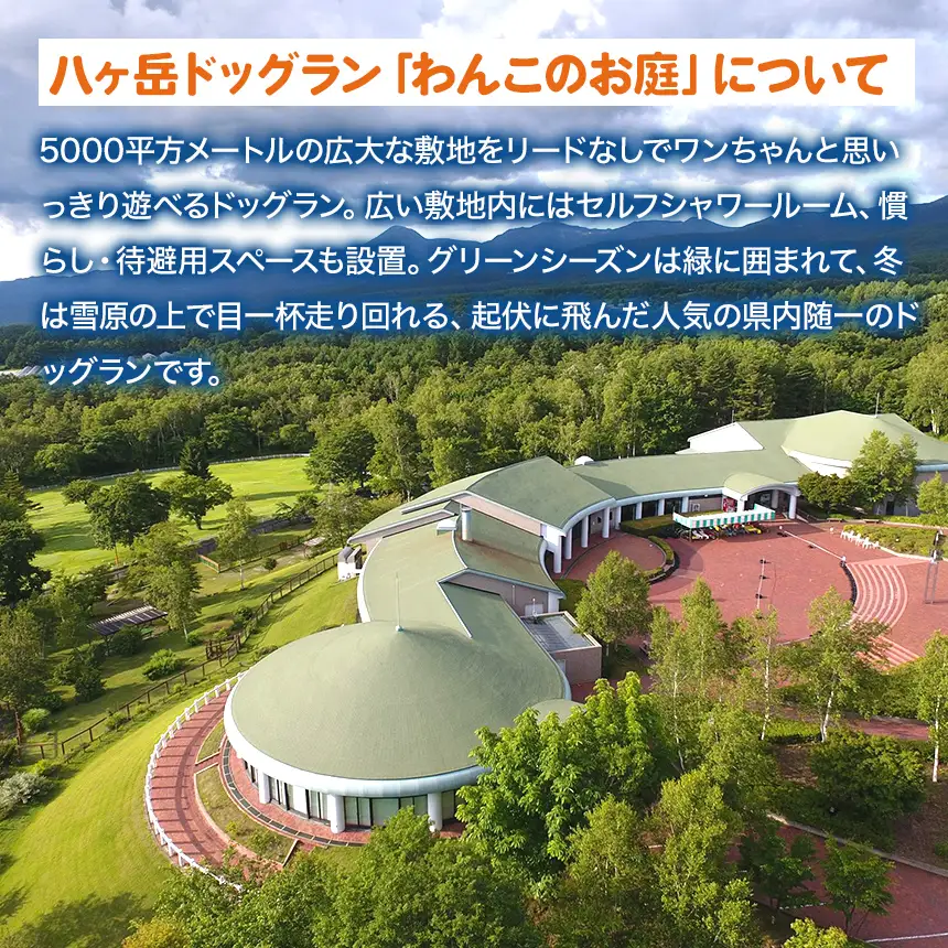 【会員限定】 八ヶ岳 ドッグラン 「わんこのお庭」 回数券 11枚