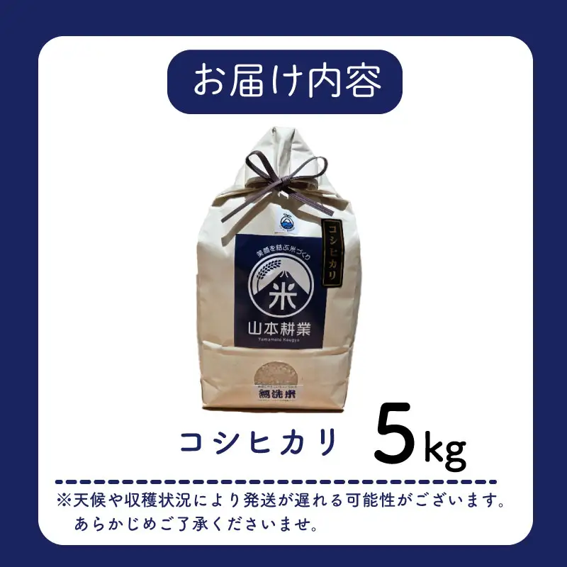 コシヒカリ 5kg 牧之原市 静岡県 山本耕業