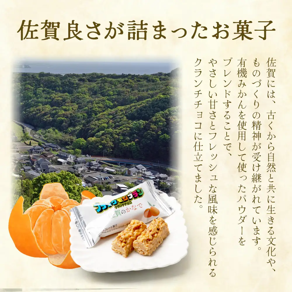 【鹿島高校 商業科 共同開発】みかん クランチチョコ 佐賀のかなで 鹿島産みかんパウダー使用 12箱（10本入×12箱）佐賀 鹿島 チョコレート ご当地スイーツ H-54