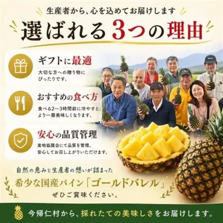 【2026年6月下旬から順次発送】今帰仁村パイン産地協議会 ゴールドバレル3.6kg(2～3玉)【配送不可地域：離島】【1734540】