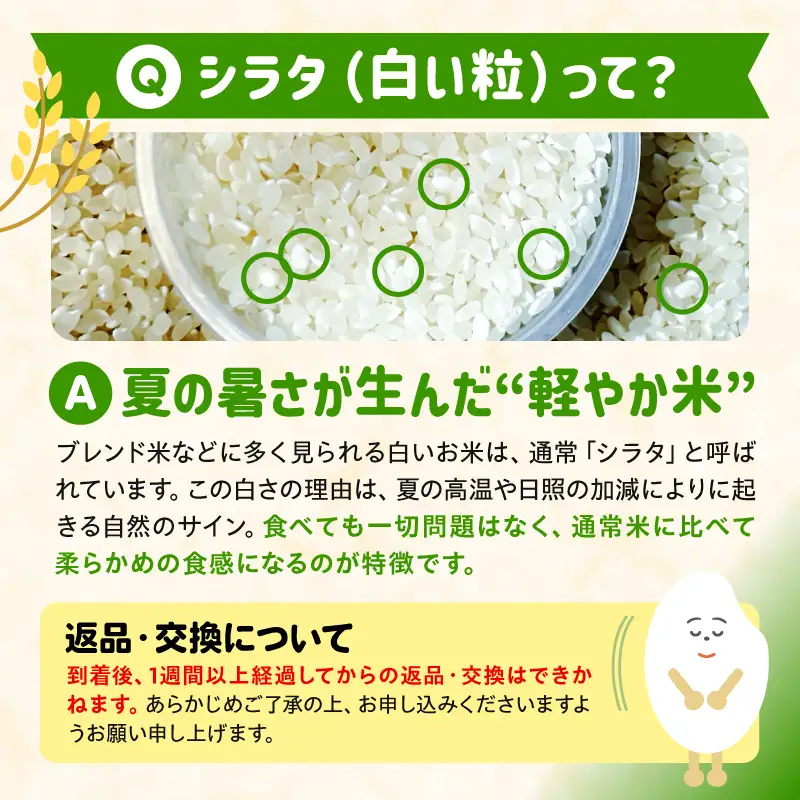 国産ブレンド米 「米一膳」5kg 米