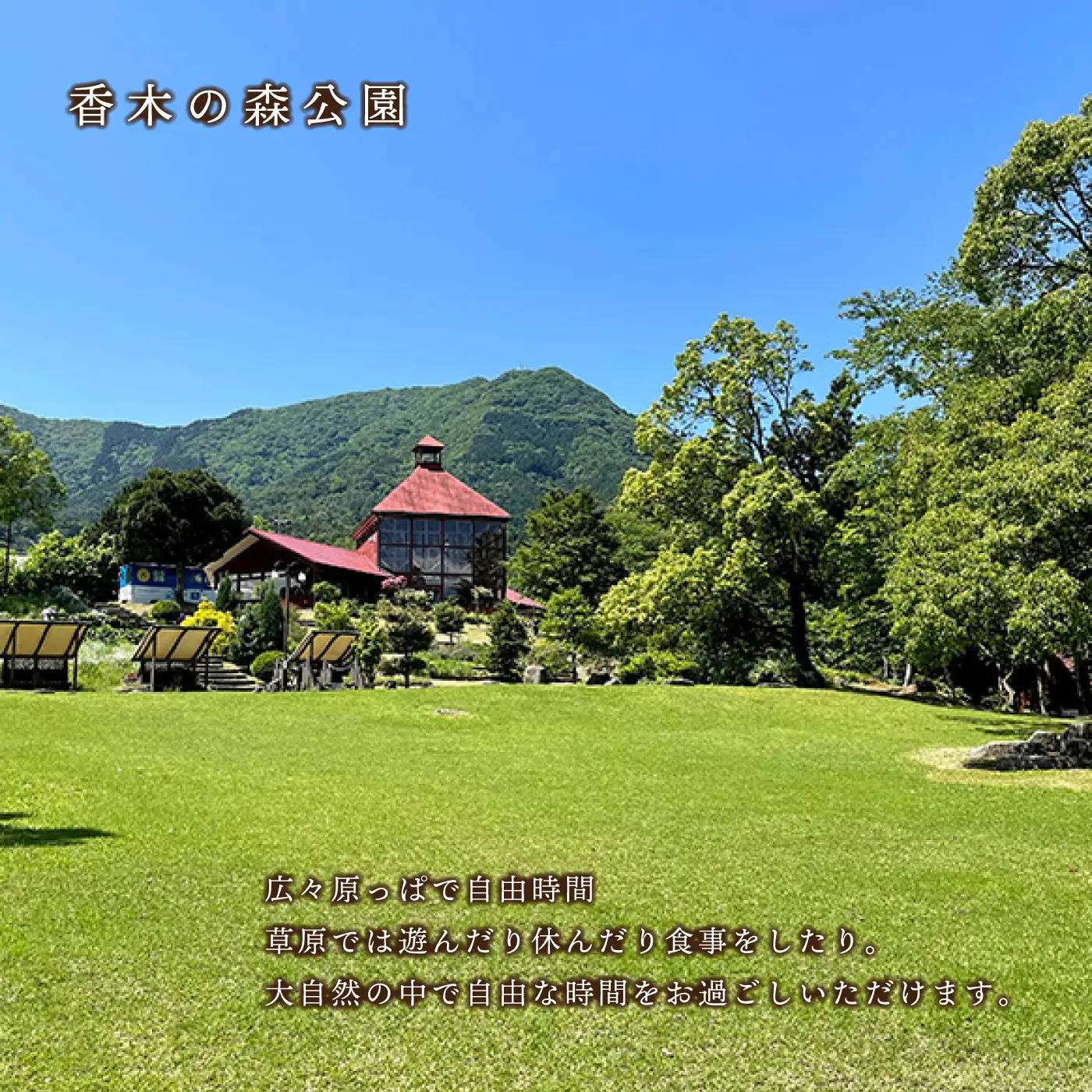宿泊 香木の森公園 一棟貸しバンガロー＆温泉入浴券（4名様まで）