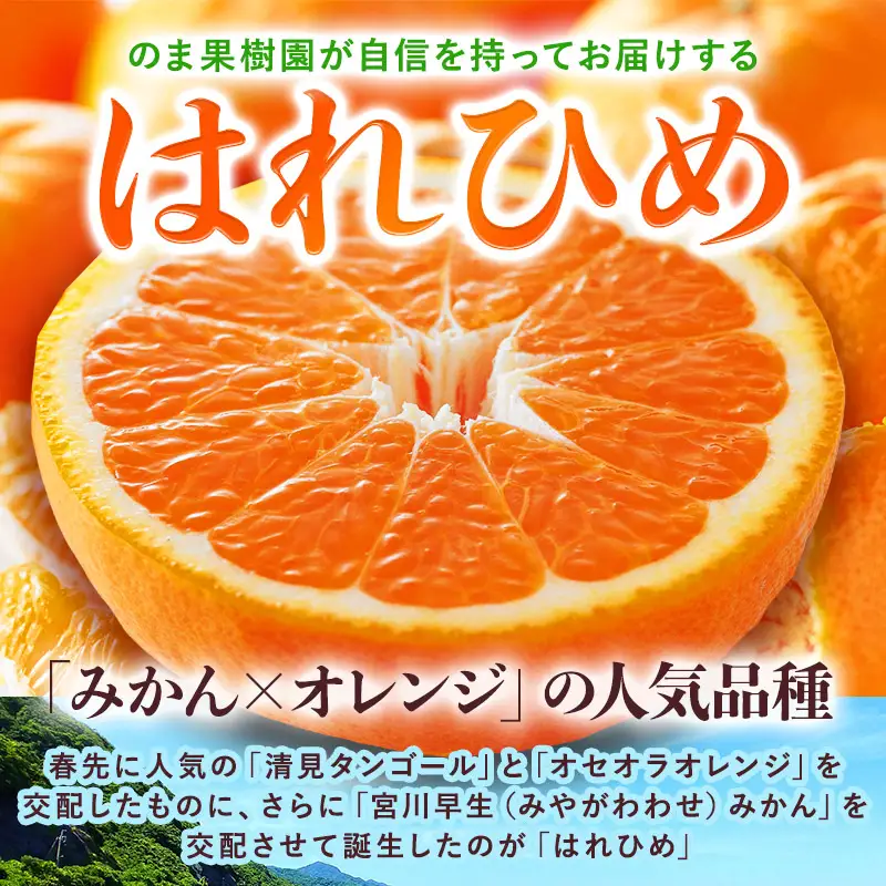 【先行予約】はれひめ（2kg）