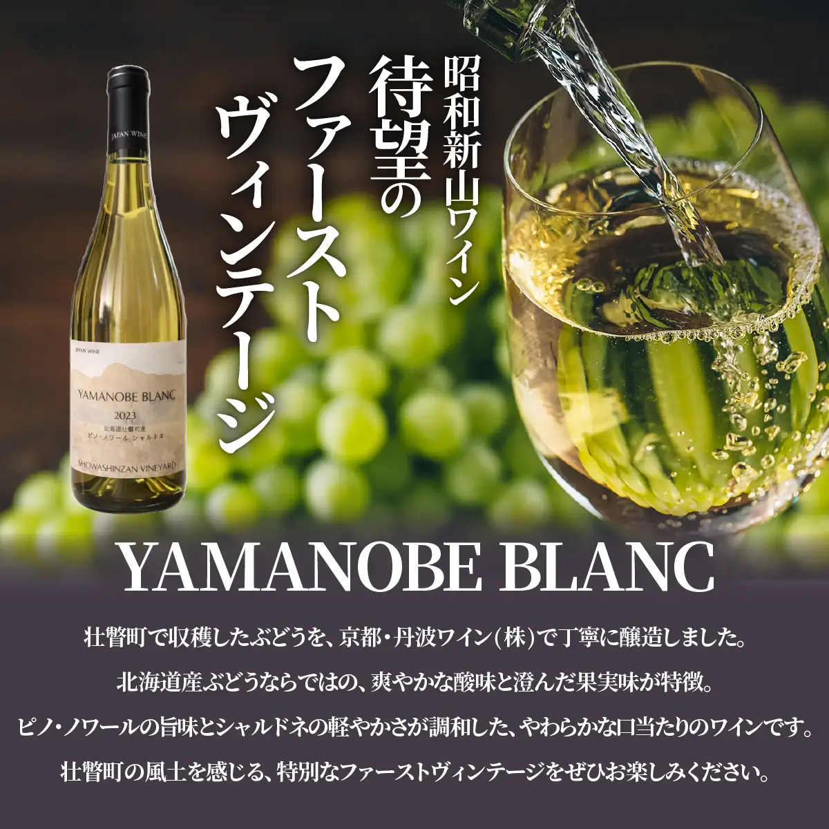 昭和新山ワイン YAMANOBE BLANC 2023(ヤマノベブラン）、Montagne 2024 無濾過(モンターニュ）白ワイン 辛口 750ml 各2本セット  SBTQ015