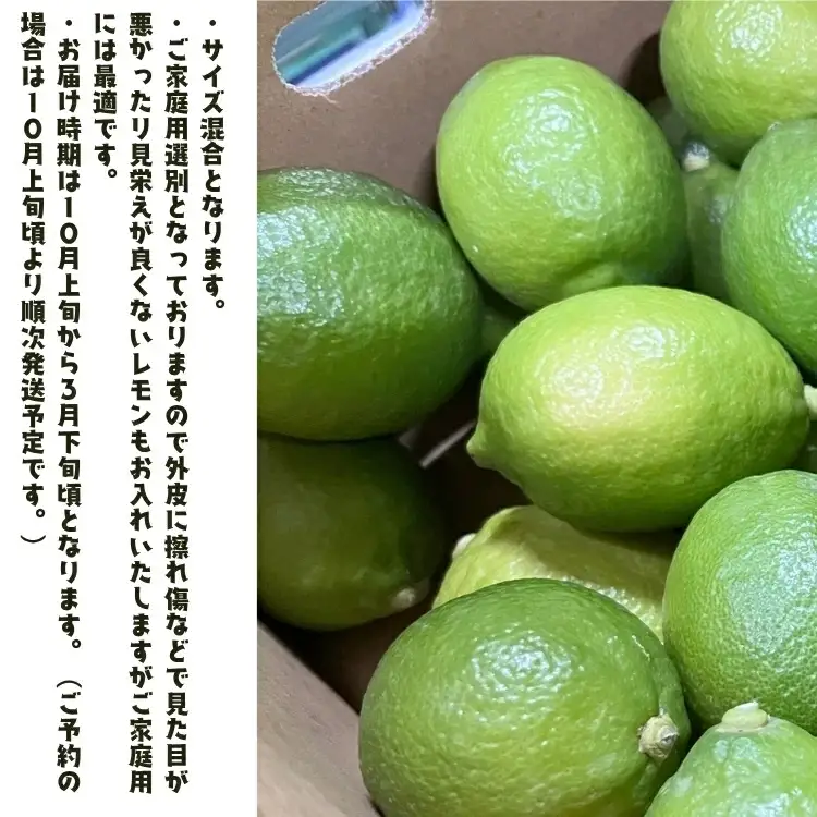 【先行予約】紀州 和歌山　有田 レモン 3kg+200g(傷み補償分) / 檸檬 柑橘 オレンジ フルーツ 果物 くだもの ※2026年9月下旬～2027年2月上旬に順次発送予定 ※北海道・沖縄・その他離島地域は発送不可【ard040-c-3A】