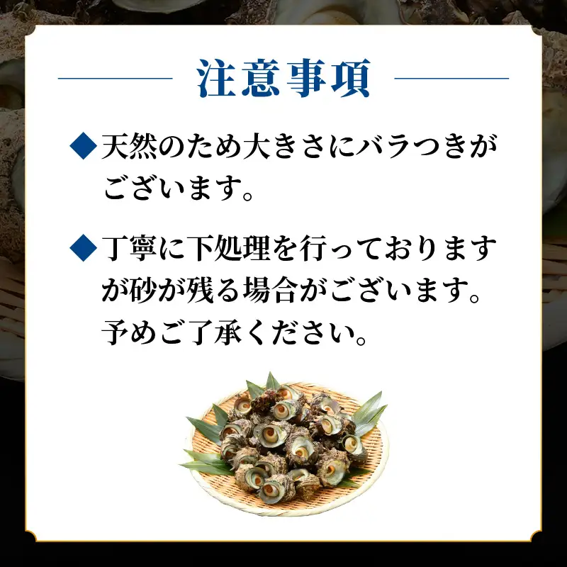 【先行予約】越前町産 天然 サザエ 2kg （500g×4袋）【2026年6月中旬より順次発送】【サザエ 海鮮】 [e15-a066]