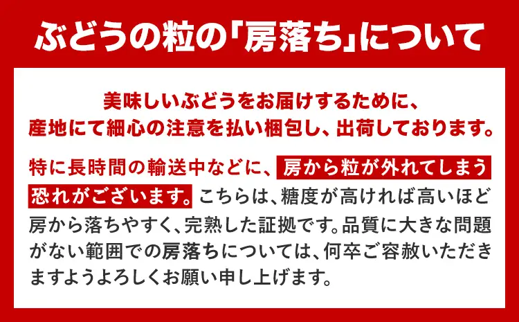 【定期便】旬のフルーツ定期便 岡山のﾌﾙｰﾂ 定期便 Bコース 2回定期便 岡山県産 桃 シャインマスカット ニューピオーネ 梨 《7月上旬-10月末頃出荷》岡山県 笠岡市 フルーツ 旬 果物 ぶどう 梨 マスカット お取り寄せ