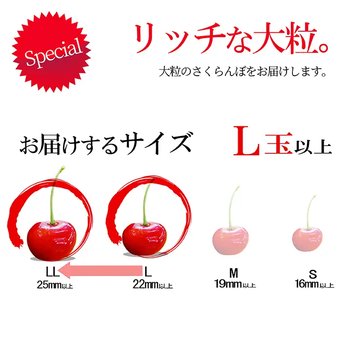 さくらんぼ 紅秀峰 秀 L玉以上 1kg入り バラ詰め 08-10-030