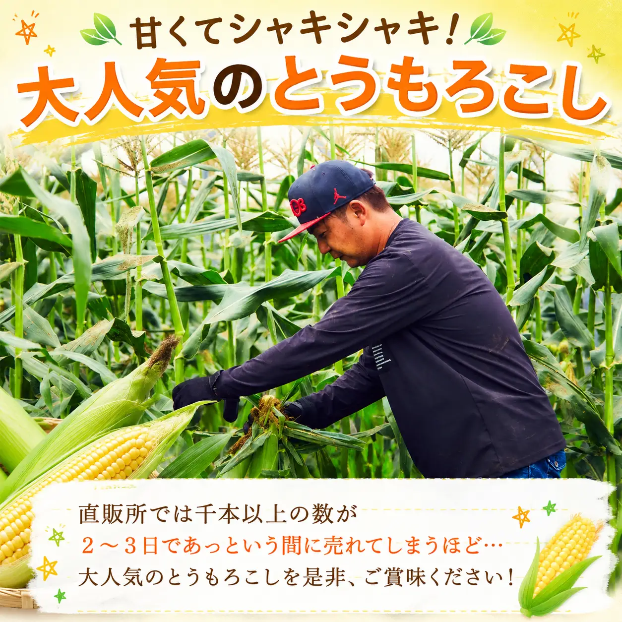 とうもろこし 10-12本セット 柳川市産 トウモロコシ