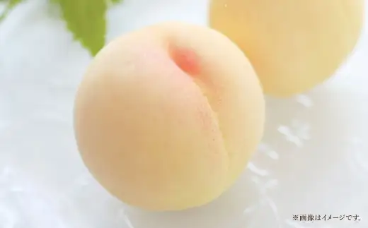 岡山白桃 6 ～ 8玉 約2kg 白桃 もも モモ 桃 くだもの フルーツ 果実 果物 果汁 国産 岡山県産 【 2026年7月上旬～8月上旬発送予定 】