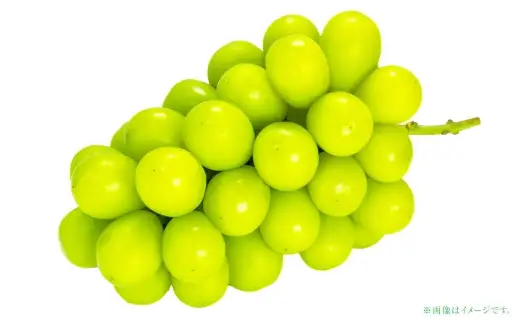 シャインマスカット 2房 約1kg マスカット 葡萄 くだもの 果物 フルーツ 果実 ぶどう ブドウ 皮ごと 種無し ギフト 贈答 贈り物 果汁 国産 岡山県産  【 2026年10月下旬～11月下旬発送予定 】