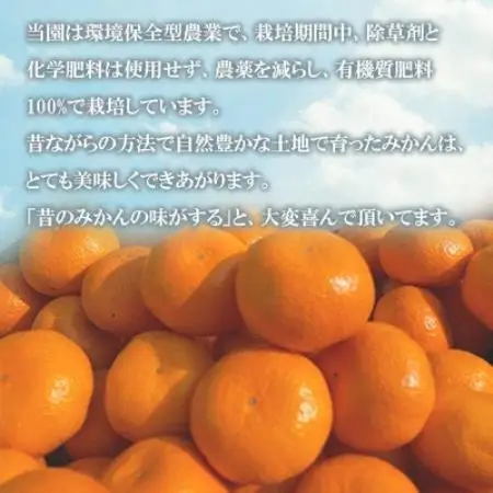 温州みかん約5キロ【1727486】