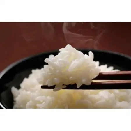 千葉県館山産コシヒカリ　精米　4.5kg【1735245】