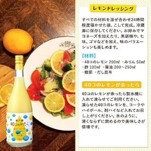 ＜尾道市瀬戸田町産＞４０コのれもん２本