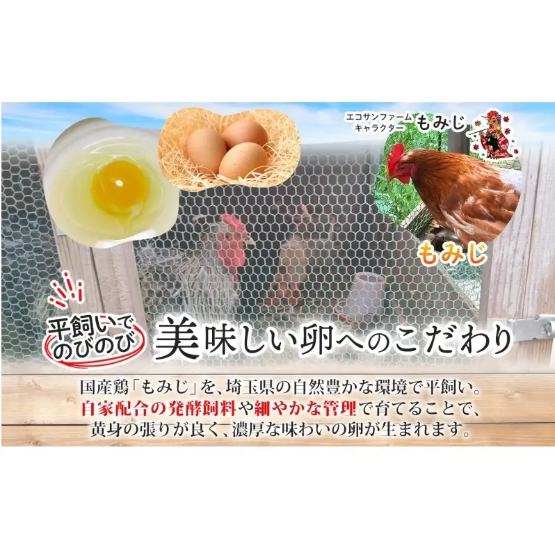 平飼いモミジの有精卵 12個 平飼い 卵 有精卵 もみじ こだわり 国産 鶏卵 赤玉 発酵飼料 濃厚 たまご かけご飯 スイーツ お取り寄せ 産地直送 朝食 エコサンファーム 埼玉県 蓮田市