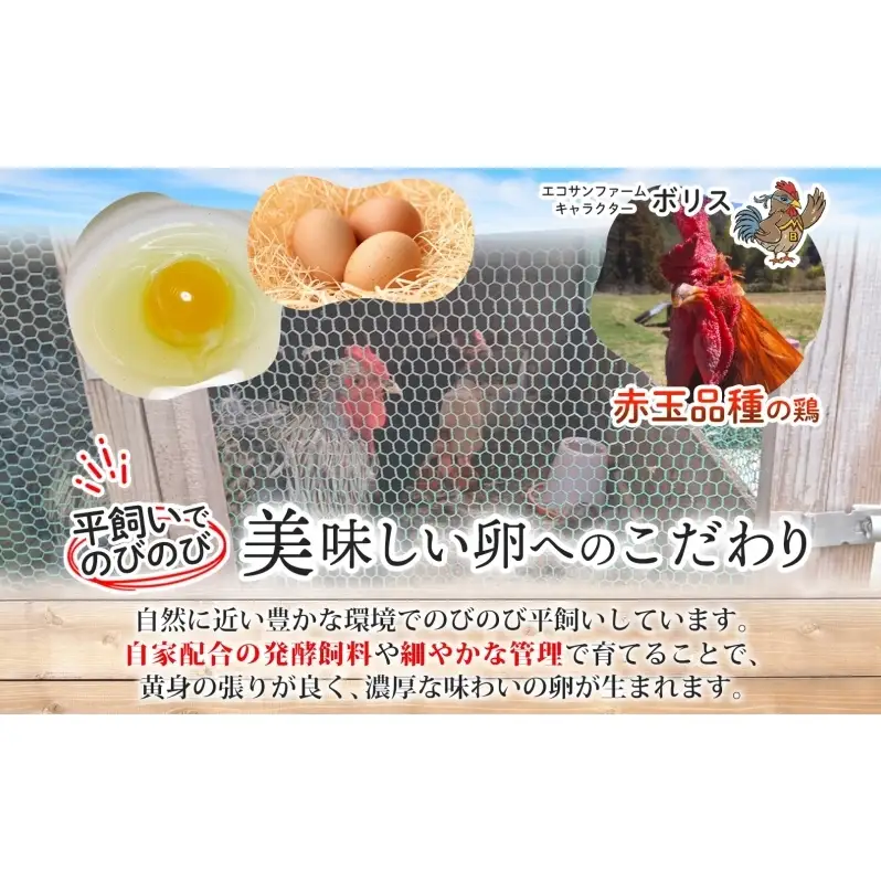 エコサンファーム 平飼い 赤玉有精卵 24個 赤玉 有精卵 こだわり 国産 鶏卵 鶏 発酵飼料 たまご かけご飯 料理 スイーツ お取り寄せ 産地直送 朝食 埼玉県 蓮田市