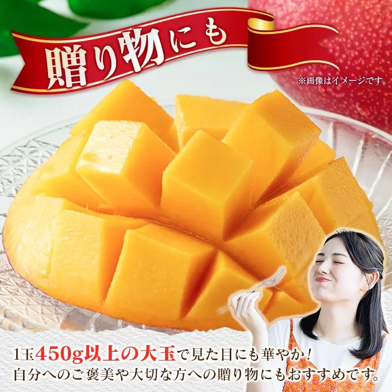 《甘い!!糖度15度以上》 宮崎 樹上完熟 マンゴー 3Lサイズ×2玉 霧島連山の麓育ち 宮崎県産 トロピカル フルーツ お取り寄せ 果物 旬