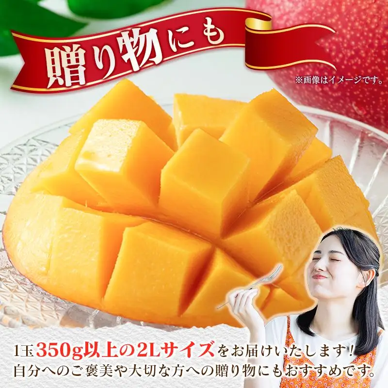 《甘い!!糖度15度以上》 宮崎 樹上完熟 マンゴー 2Lサイズ×3玉 霧島連山の麓育ち 宮崎県産 トロピカル フルーツ お取り寄せ 果物 旬