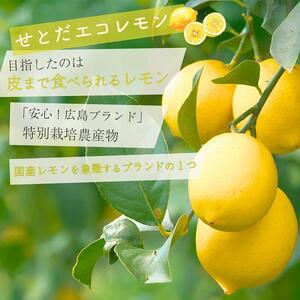 瀬戸田レモン・瀬戸田ネーブル　シロップ漬けセット