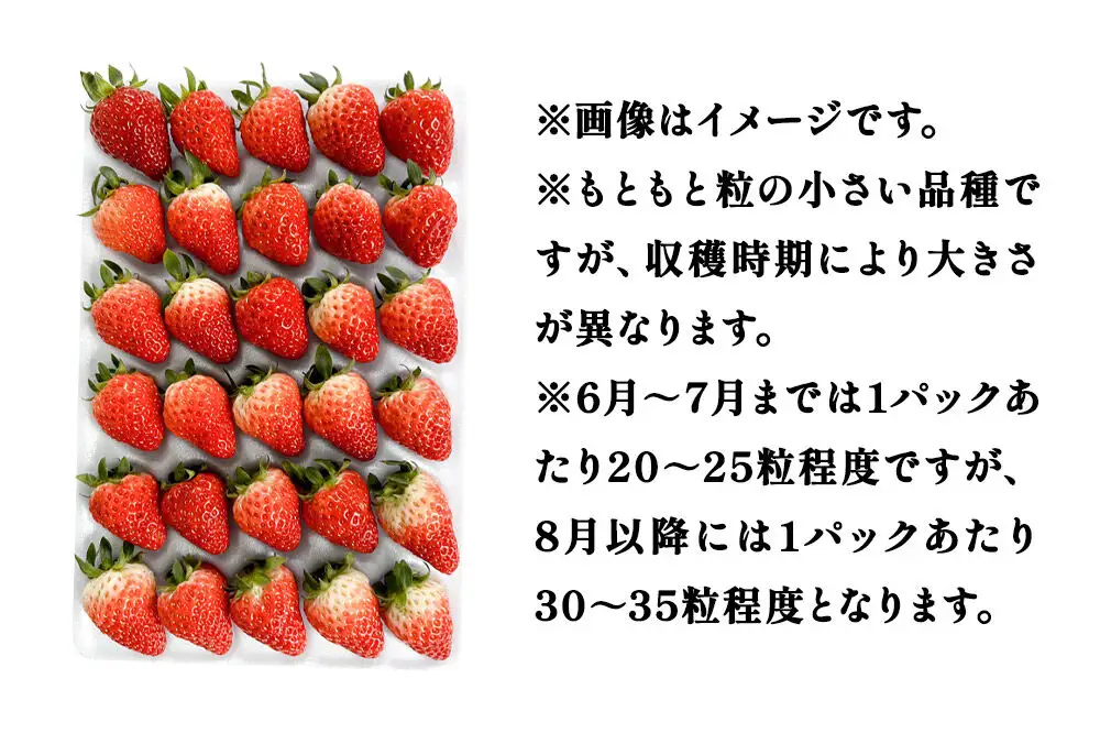 夏イチゴ「秋田夏響」 生 20～35粒詰め合わせ×2パック  いちご 苺 なつひびき