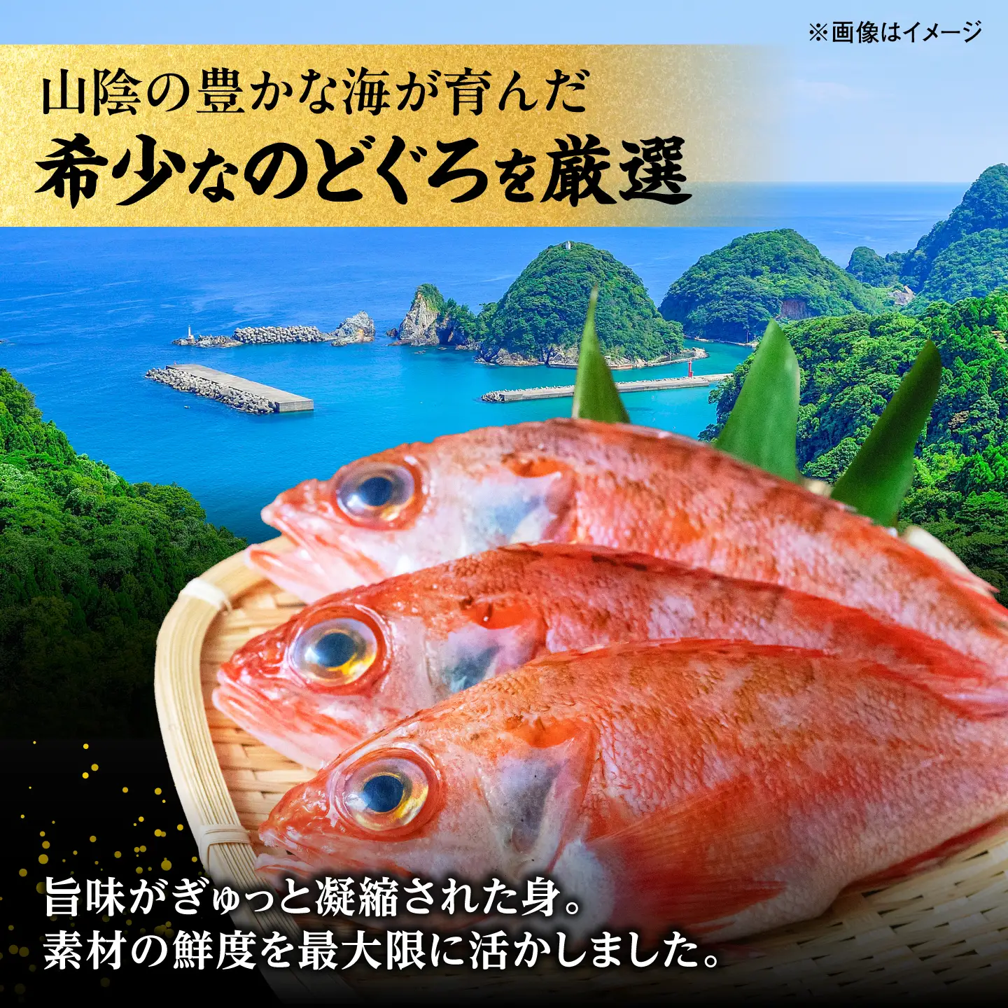 山陰沖産のどぐろ一夜干し100g以上×3 島根県松江市/平野缶詰有限会社[ALBZ060]
