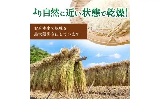 【7日以内発送】令和7年度産 にじのきらめき 5kg ※お届け日指定不可※ / 白米 お米 由良町 精米 和歌山 2025年度 ごはん ご飯 米 こめ【jahd400-niji-5】