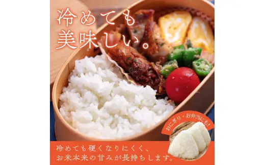 【7日以内発送】令和7年度産 きぬひかり 5kg ※お届け日指定不可※ / 白米 お米 キヌヒカリ 由良町 精米 和歌山 2024年度 ごはん ご飯 米 こめ 　【jahd400-kinu-5】