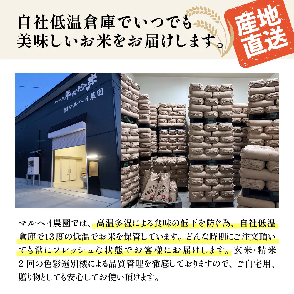 【 令和8年産 】 特別栽培米 雪若丸 計6kg ( 2kg×3袋 ) 