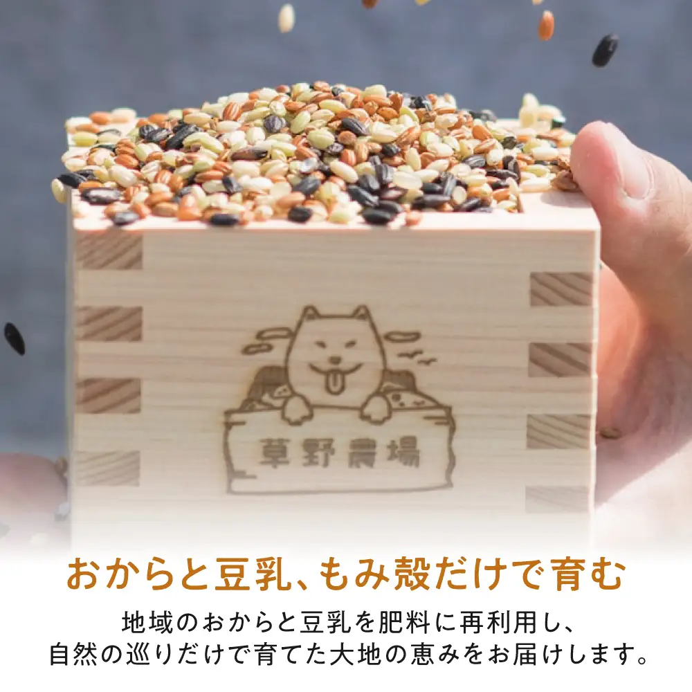 五色米入り甘酒の素1800g[AQDT006]甘酒
