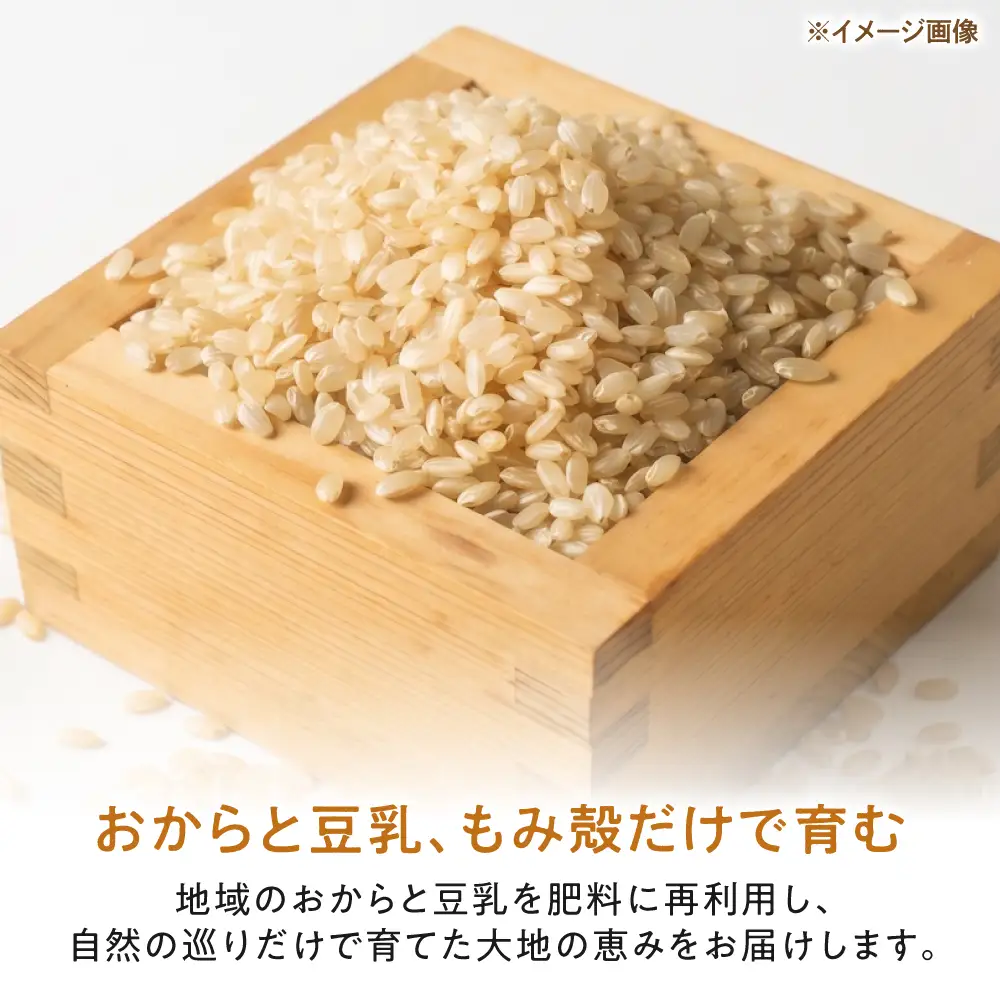 玄米入り甘酒の素720g[AQDT007]甘酒