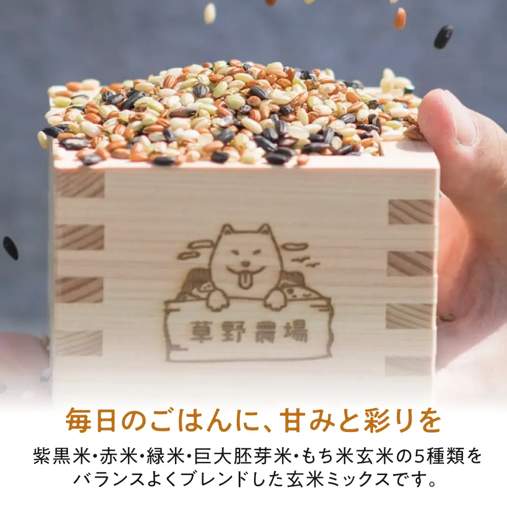 五色米 900g（300g×3）[AQDT017]