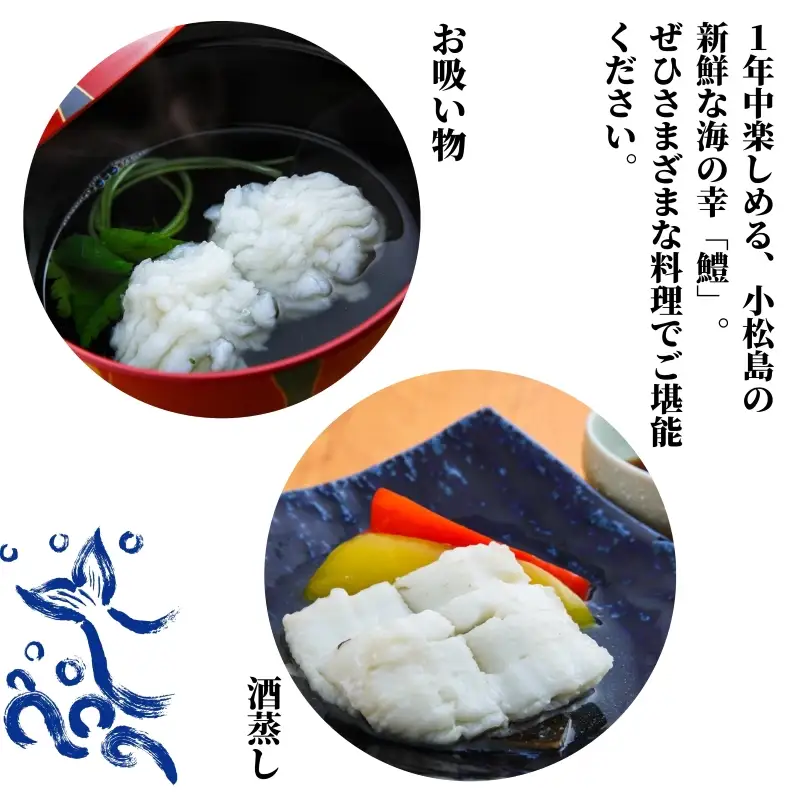 鱧 国産 はも 切り身 1.2kg 冷凍 【小松島市共通返礼品】