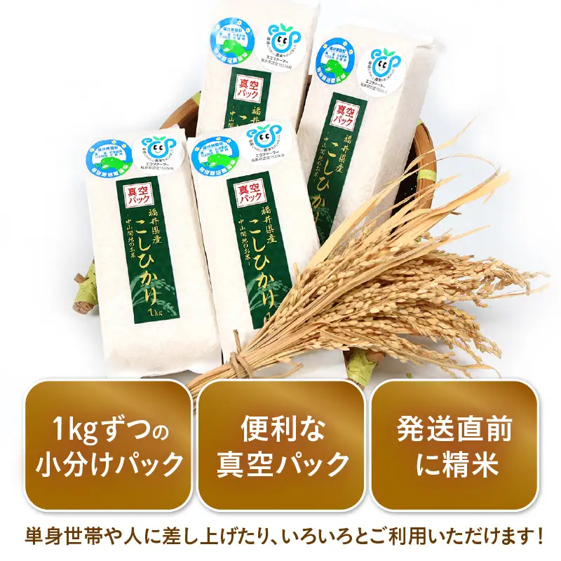 【先行予約】【令和8年産】【定期便12回】≪12ヶ月連続お届け≫ 化学肥料不使用 コシヒカリ精米 4kg (真空パック1kg×4袋) × 12回（合計48kg）※2026年10月上旬より順次発送予定 [aw010-k007]