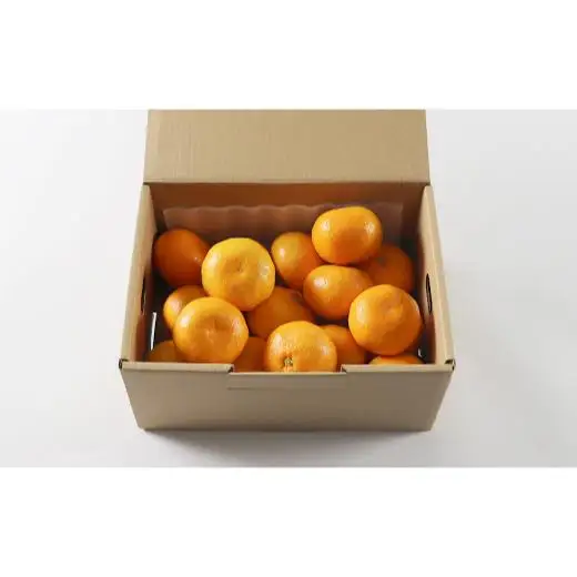 ハウスみかん 温室みかん ミカン ハウスミカン 温室ミカン 2kg 秀品 6月 7月 先行予約 大分 ／ハウスみかん約2kg 秀品（バラ詰め）＜132-031＞
