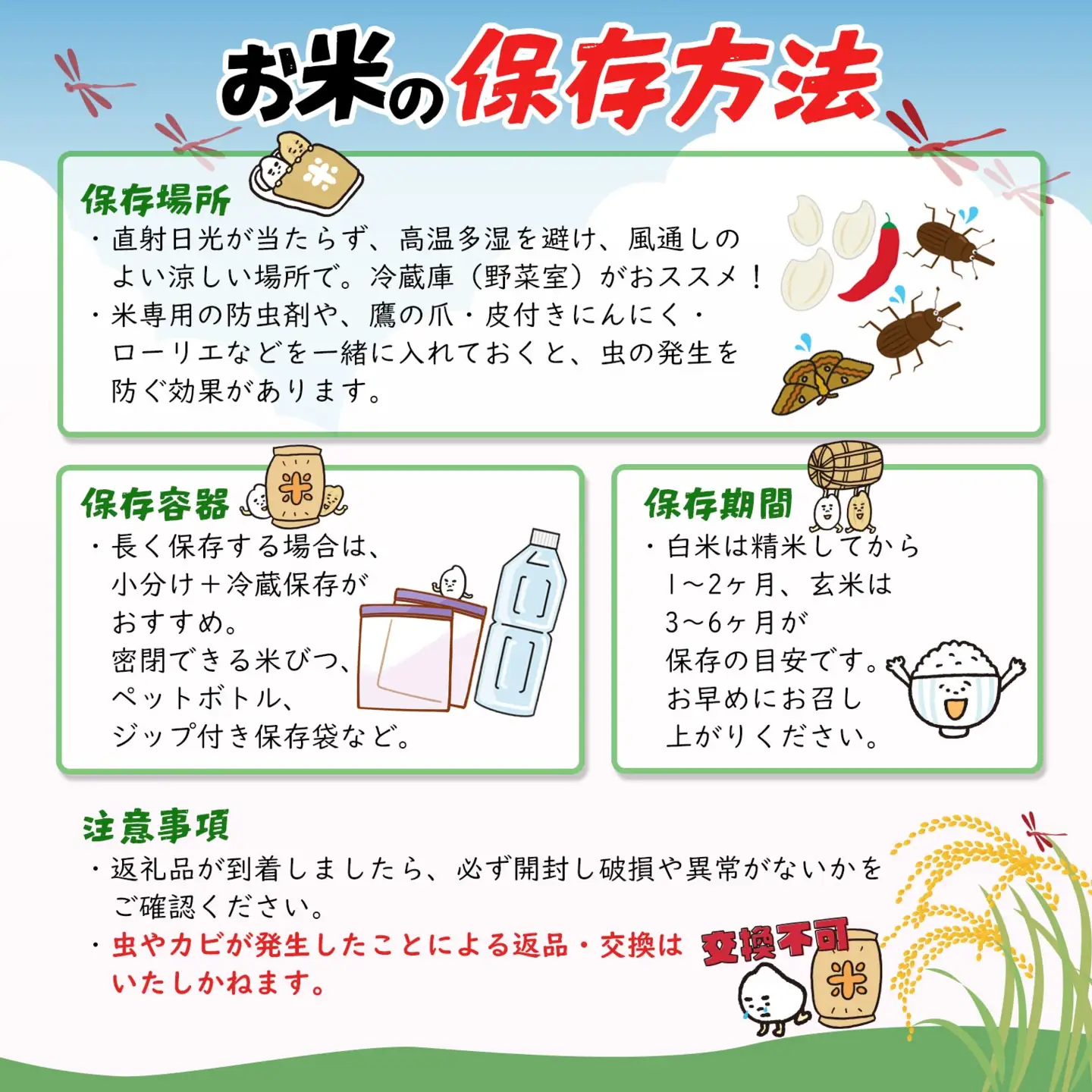 【令和7年産】米 玄米 コシヒカリ 5kg 国産 茨城県 境町産 S278