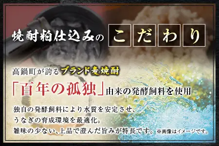 うなぎ 蒲焼 定期便 ＜計3回＞ 鰻 2尾 （計960g） 国産 ウナギ 3か月 連続 人気 ギフト 贈答品 おすすめ 小分け 宮崎県 高鍋町 名物【MR-g-001】