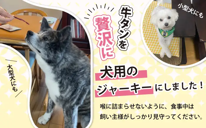 厚切り 滝沢牛タン 1kg 愛犬用牛タンジャーキー 30ｇ 2袋 セット 【主水フーズ】 ビーフ 牛肉 肉 牛タン 牛たん タン タン中 タン元 タン先 焼肉 焼き肉 肉厚 塩 冷凍 真空パック 5パック １０００g 1キロ １kg 味付け肉 厳選 塩味 使いやすい 小分け 簡単 ジャーキー おいしい オススメ おすすめ
