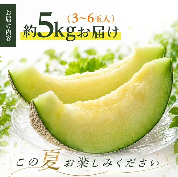 SA2975　訳アリ　青肉メロン　優品　約5kg(3~6玉入)
