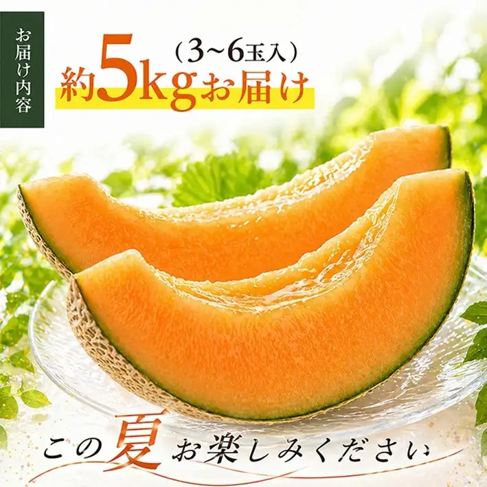 SA2976　訳アリ　赤肉メロン　優品　約5kg(3~6玉入)