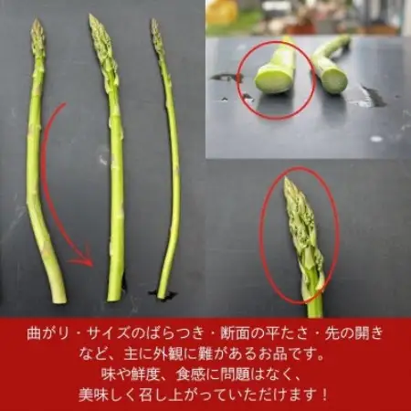 【訳あり】アスパラガス1kg 2026年産 朝採りアスパラ　S～2Lサイズを農家直送でお届け【配送不可地域：離島】【1733760】