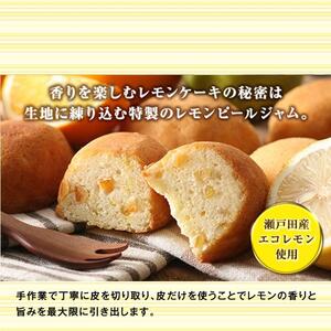 G7広島サミットコーヒーブレイクで採用！瀬戸田レモンケーキ島ごころ15個