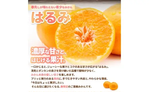 はるみ みかん 10kg S～4Lサイズ混合 / くだもの 甘い 柑橘 果物 和歌山 ※2027年2月上旬～2月中旬頃に順次発送予定 【nktn013-r-10】