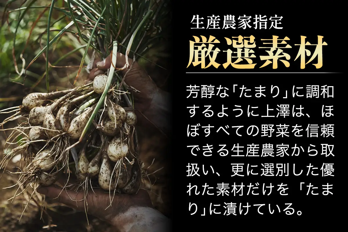 らっきょうのたまり漬 5個セット [0941]